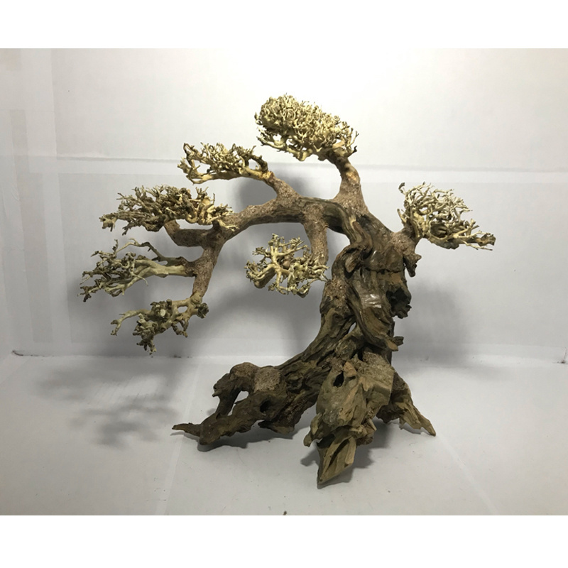 2023 Bonsai Driftwood for Aquarium Natural Wood Branches Fish Tank Decoration Reptiles Tree Trunk Driftwood WhatsApp +84 9639491