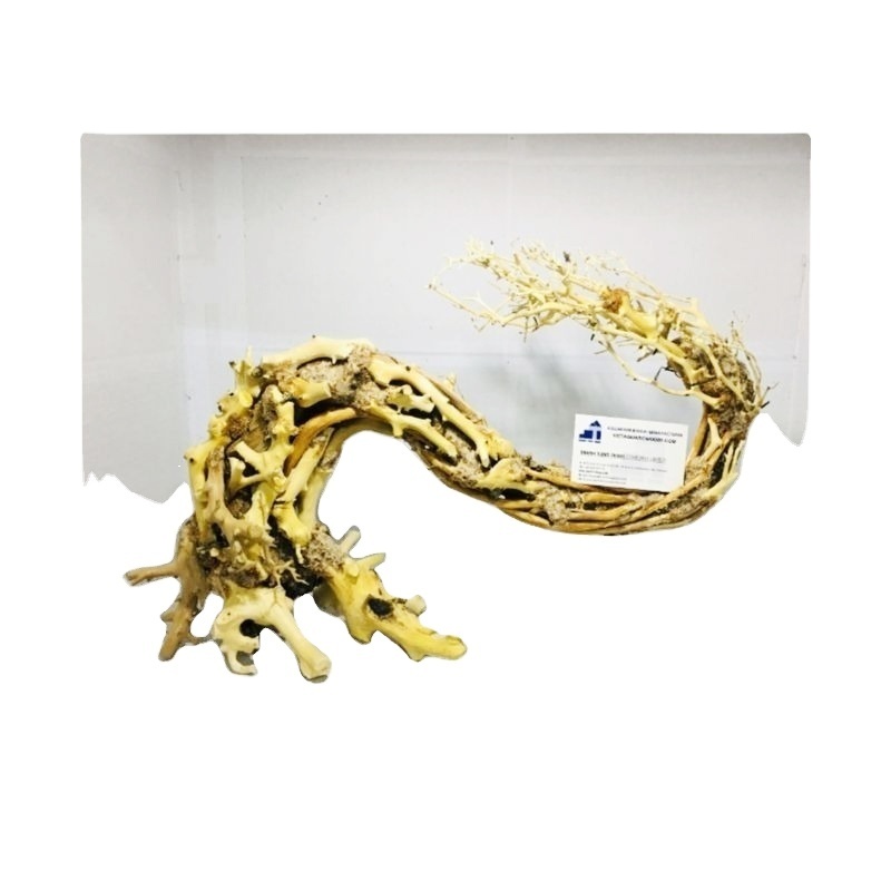 Best Selling Bonsai driftwood with curly trunk for  your aquarium decoration tank WhatApps: +84 961005832