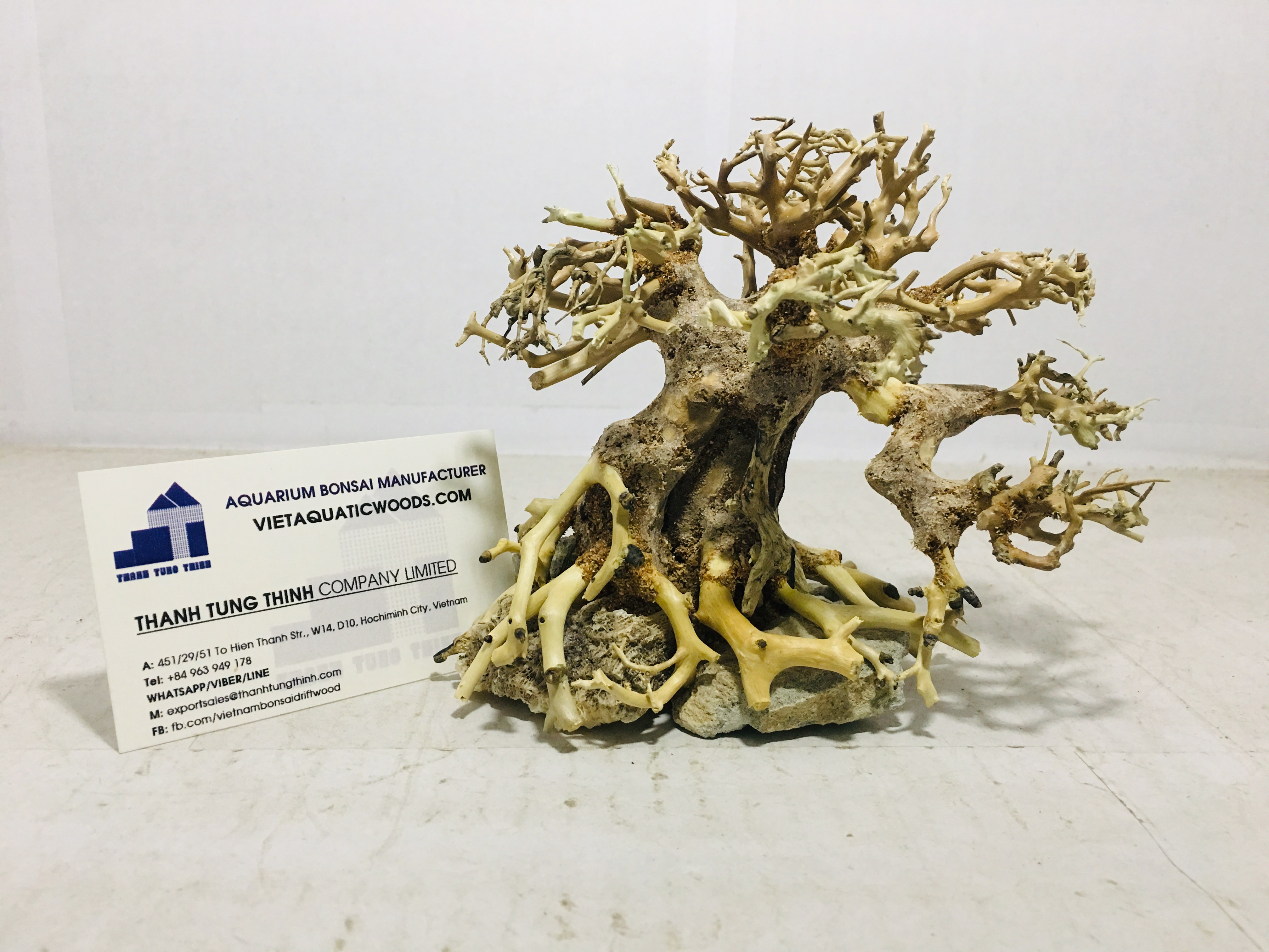 Mangrove root and driftwood Bonsai driftwood Aquarium Tree for aquarium WhatsApp: +84 961005832