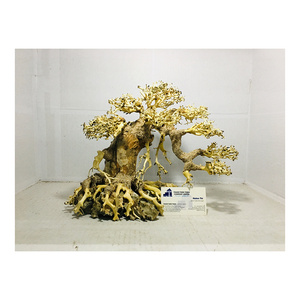 Hot Design Bonsai Driftwood For Betta fish tank Decoration WhatsApp +84 961005832