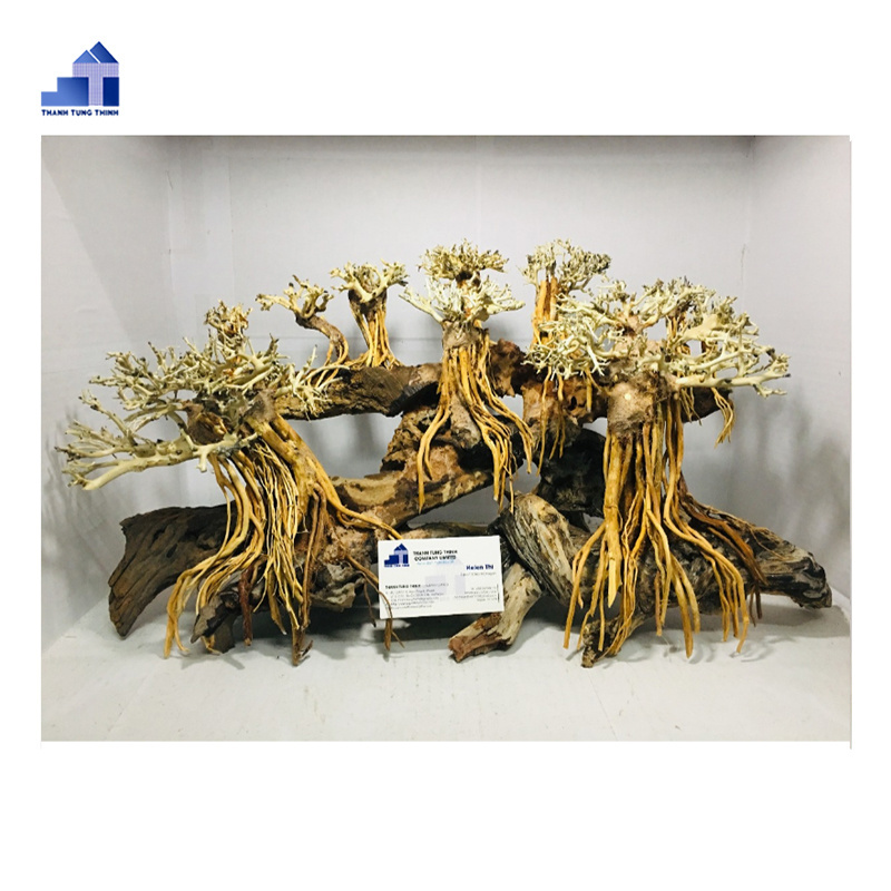 2023 Bonsai Driftwood from natural driftwood For fish tank filter WhatsApp +84 961005832