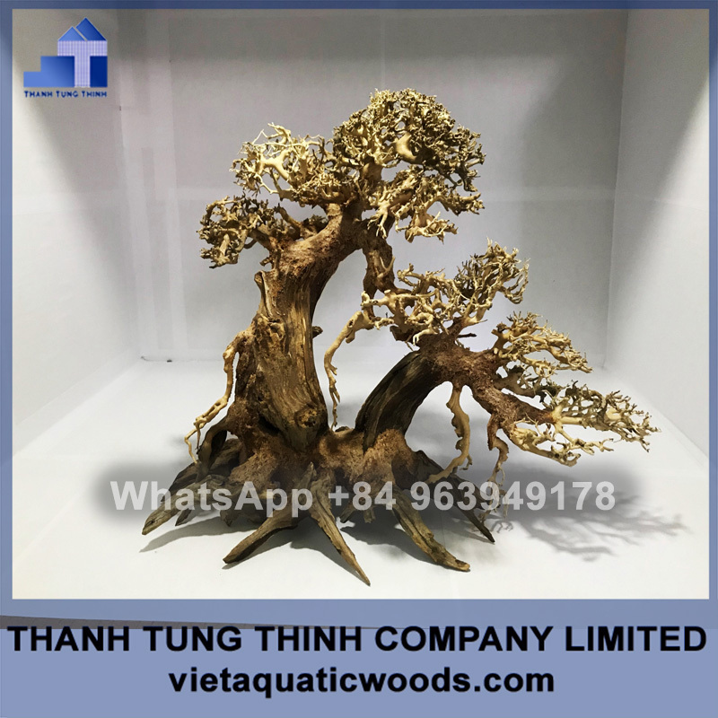 Hot Design 2023  wood decorative mangrove bonsai tree driftwood for aquarium decoration WhatsApp + 84 937545579