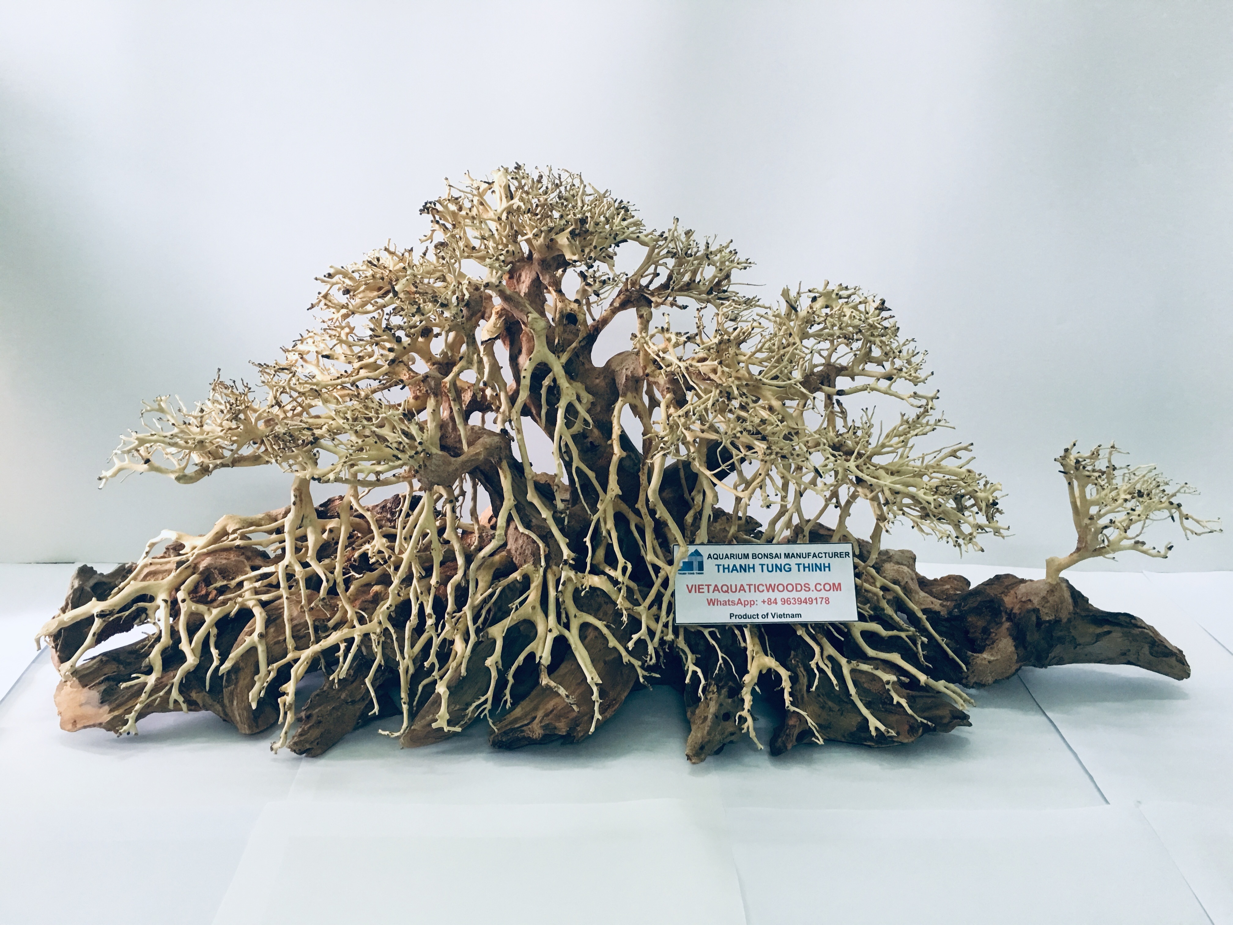 2023 High Quality Bonsai driftwood Decorative Aquarium Tree for Aquascape and aquarium accessories WhatsApp: +84 961005832