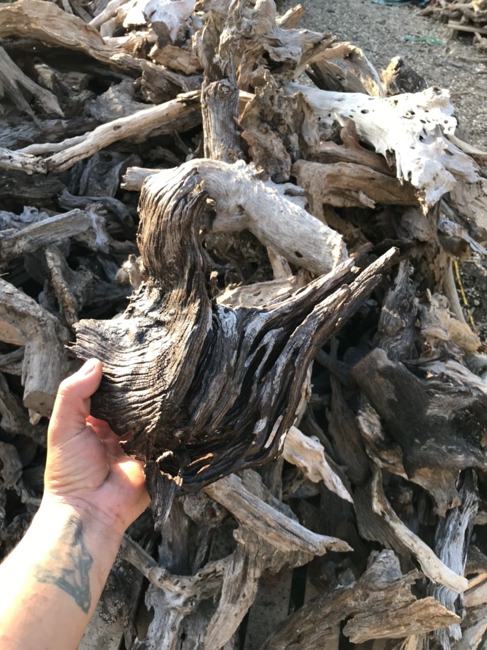 Best seller 2024 SANDA natural driftwood for  your aquarium decor tank Vietnam factory wholesale WhatsApp: +84 961005832