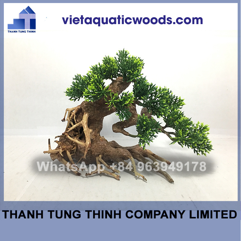 2023 Best seller Bonsai driftwood with moss for decorate fish tank WhatsApp: +84 961005832