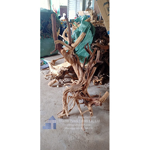 Hot trending Mangrove driftwood Natural Driftwood For Aquarium Accessories WhatsApp: +84 963 949 178