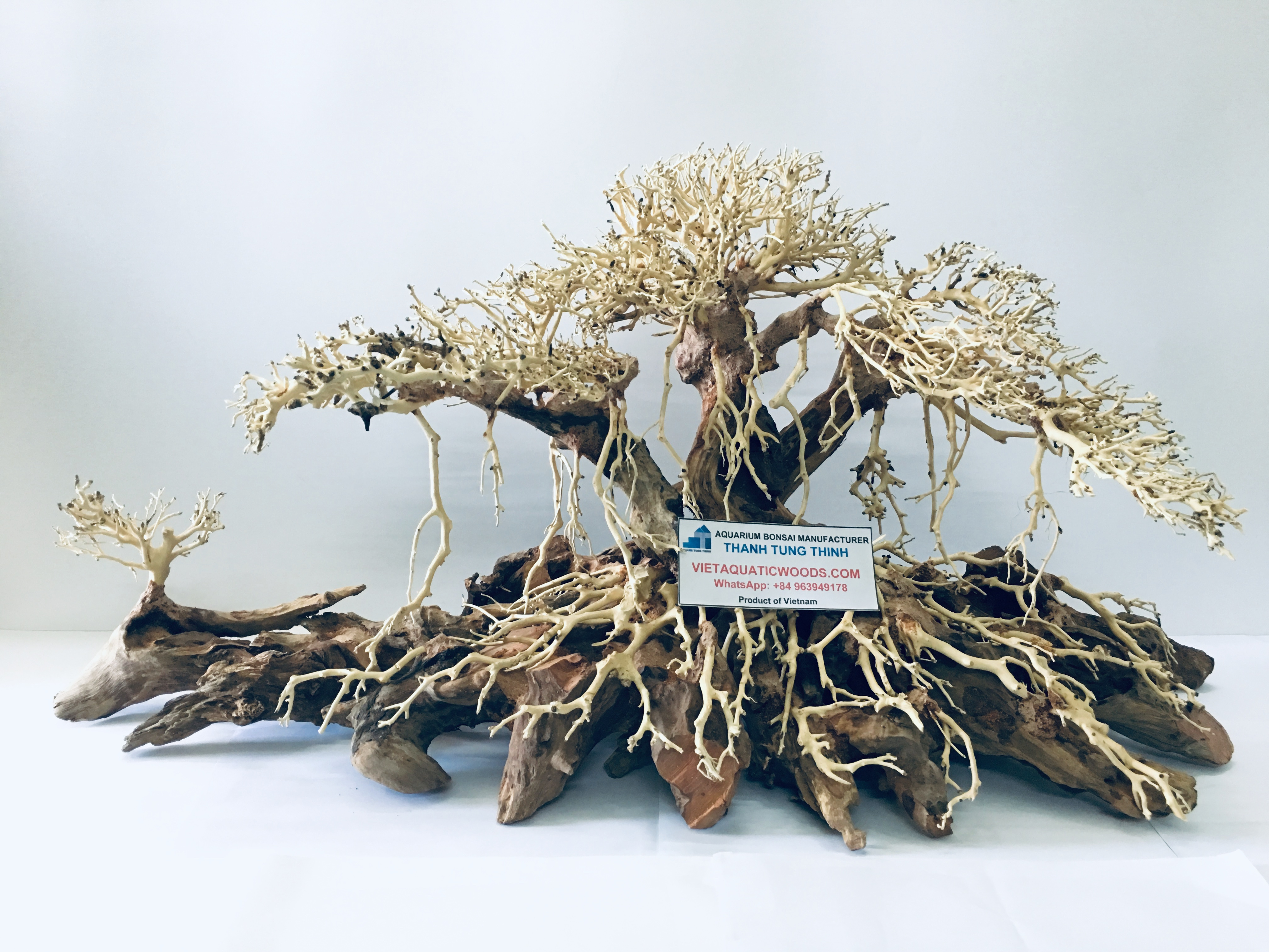 2023 High Quality Bonsai driftwood Decorative Aquarium Tree for Aquascape and aquarium accessories WhatsApp: +84 961005832