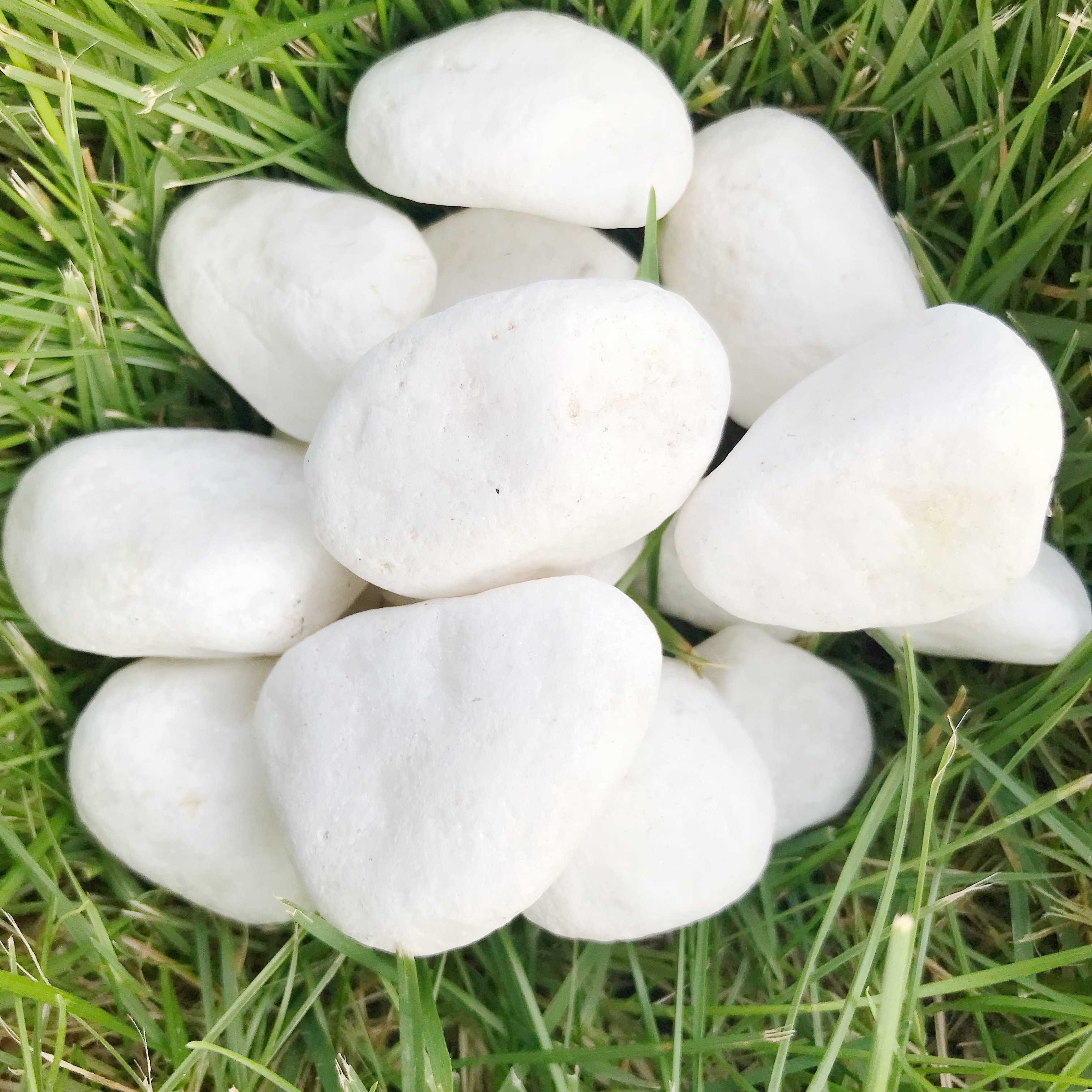 Natural decoration white cobblestone garden small white stone aquarium decorated pebbles