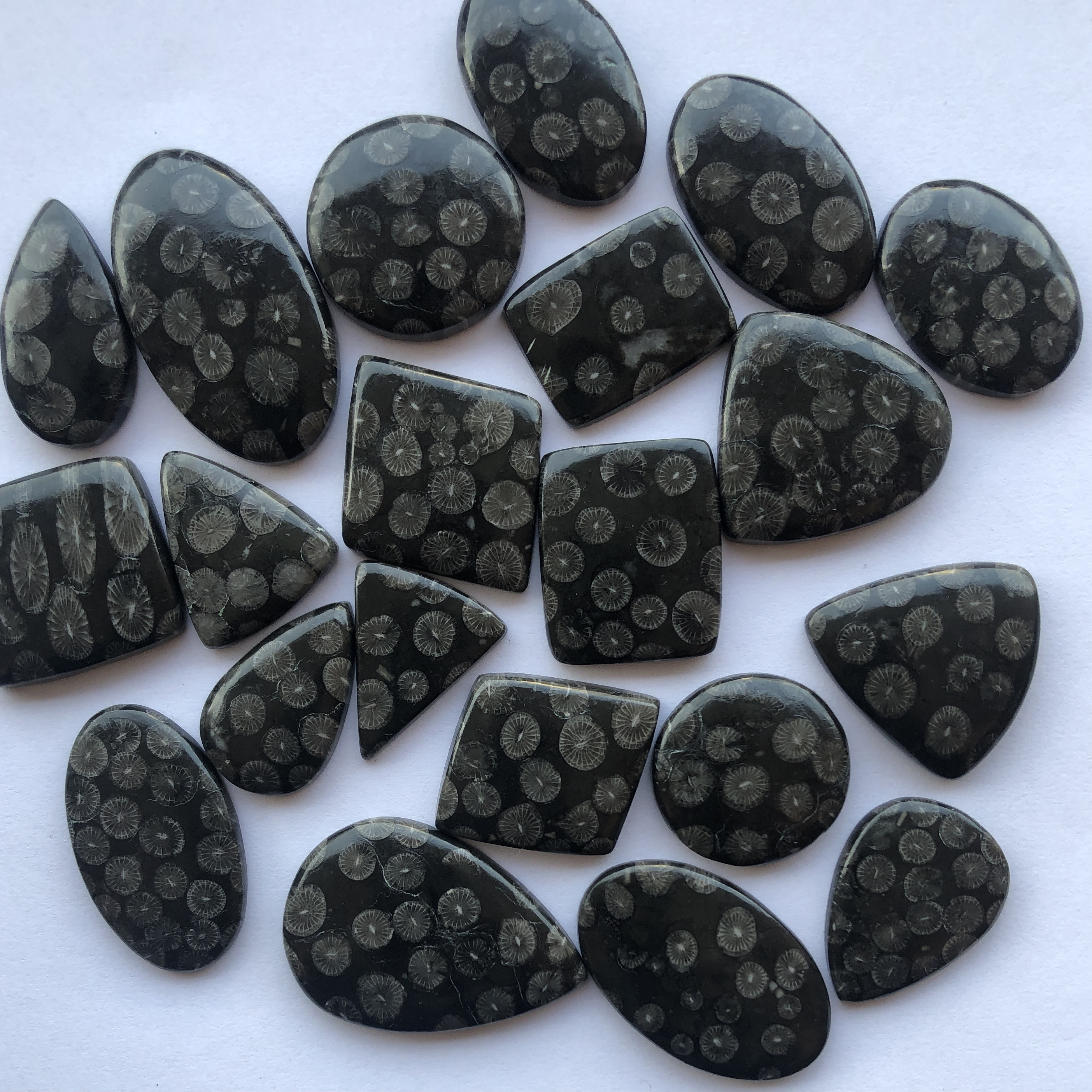 10mm 20mm 30mm Natural Black Coral Smooth Free Size Loose Cabochon Gemstone Wholesale Flatback Stones Factory Supplier