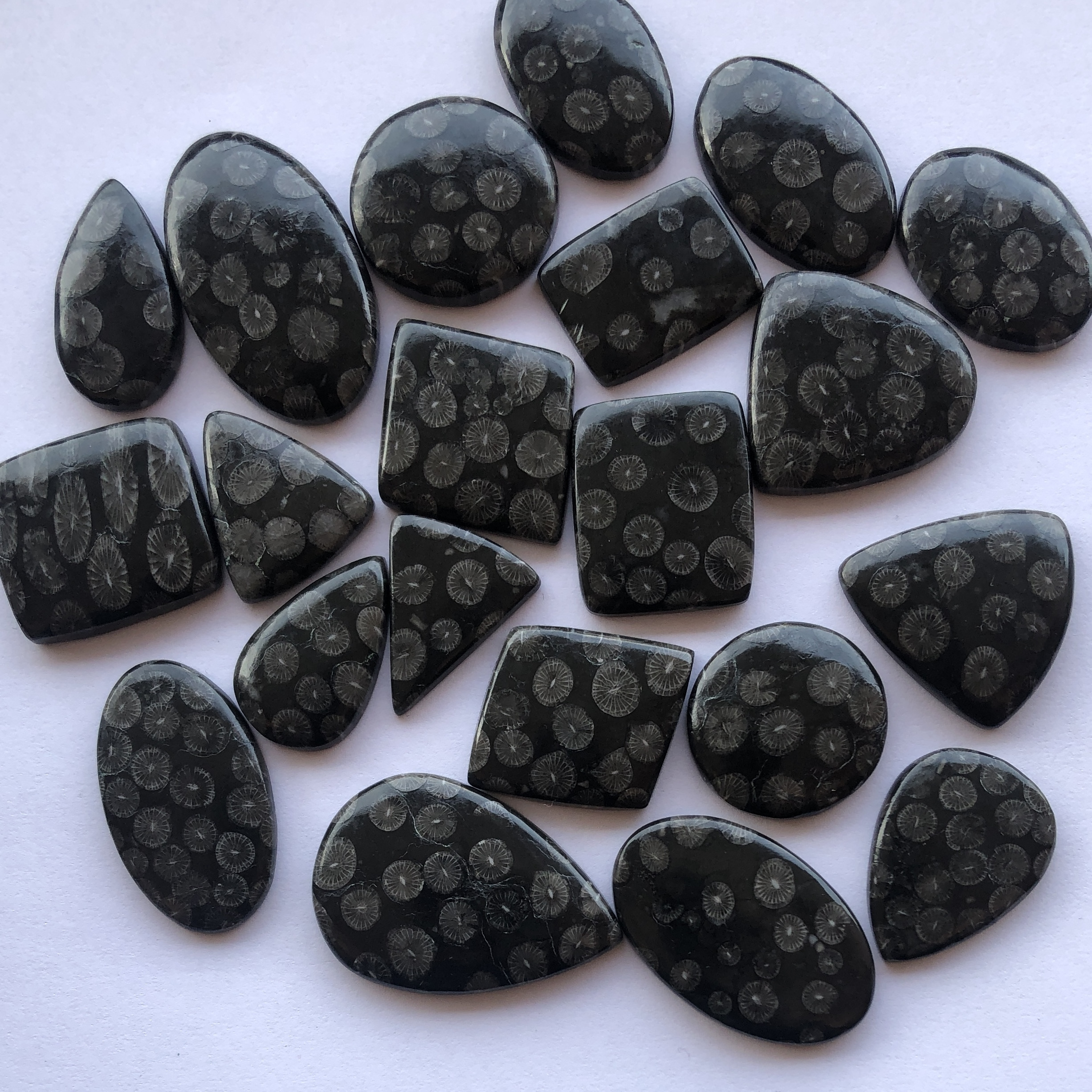 10mm 20mm 30mm Natural Black Coral Smooth Free Size Loose Cabochon Gemstone Wholesale Flatback Stones Factory Supplier