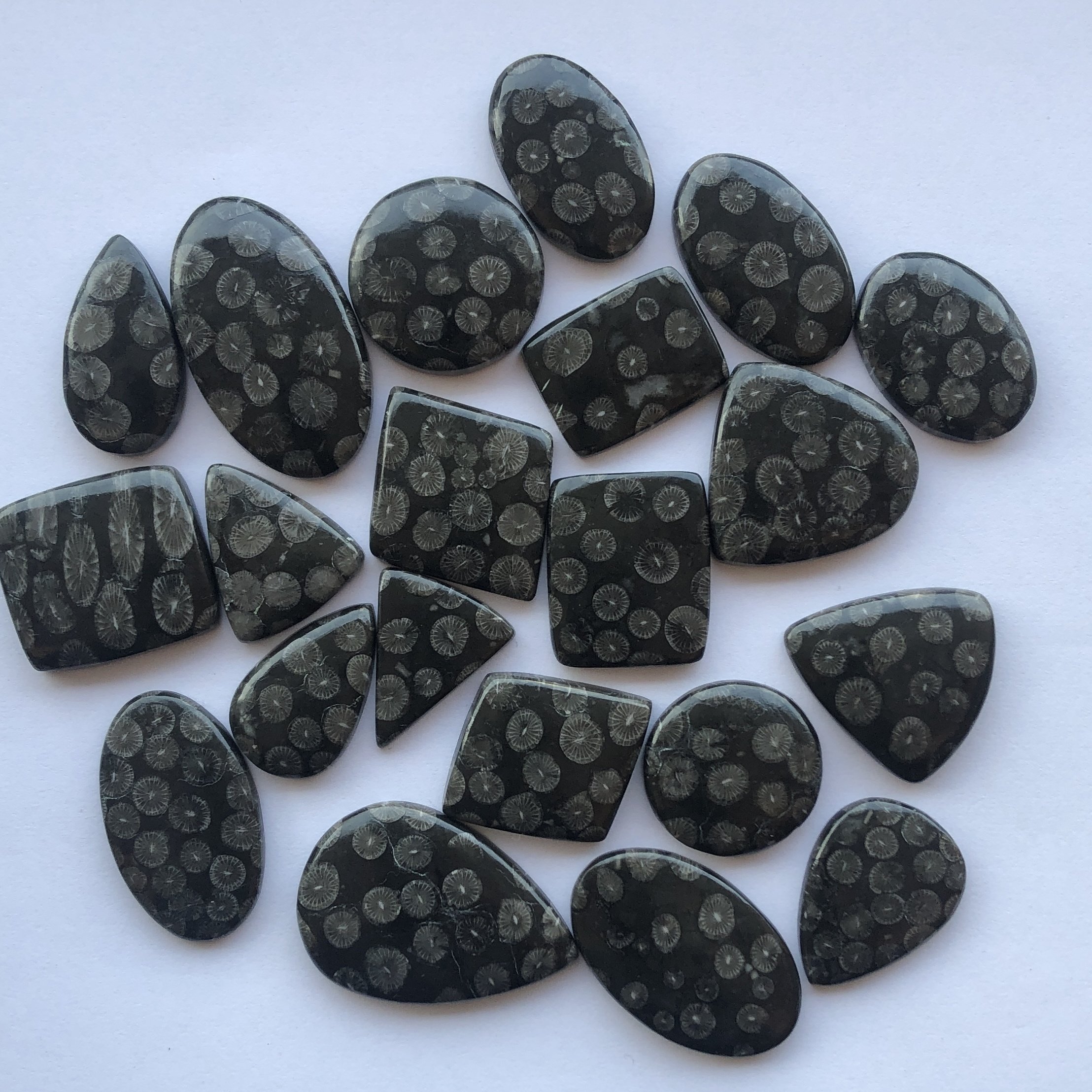 10mm 20mm 30mm Natural Black Coral Smooth Free Size Loose Cabochon Gemstone Wholesale Flatback Stones Factory Supplier