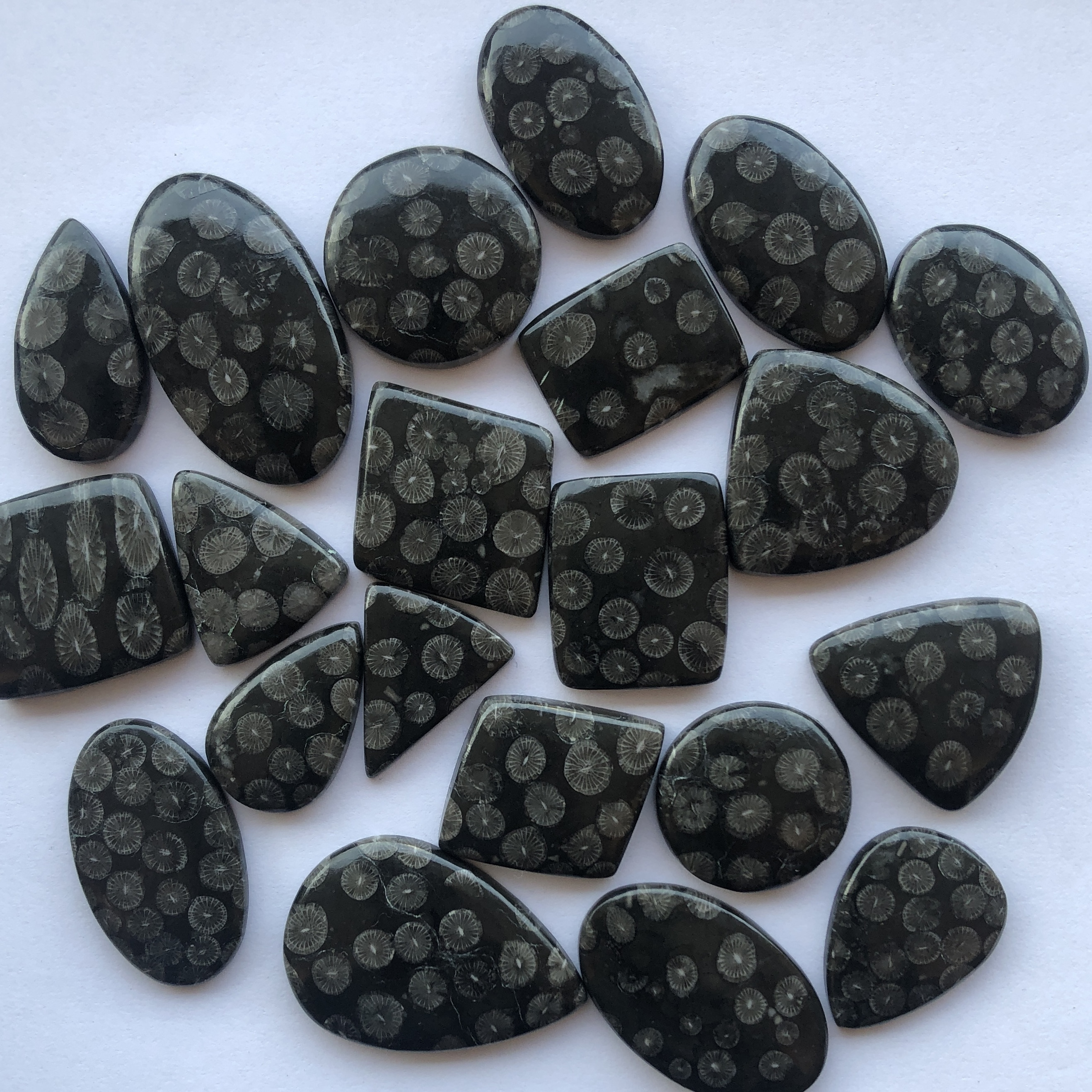 10mm 20mm 30mm Natural Black Coral Smooth Free Size Loose Cabochon Gemstone Wholesale Flatback Stones Factory Supplier