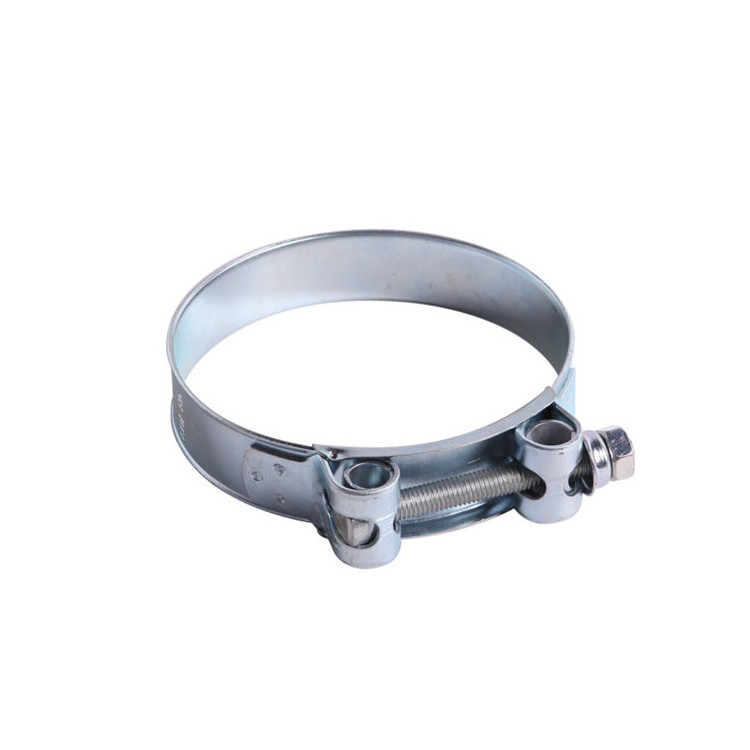 Competitive high quality Stainless Steel or Iron hollow bolt  hose pole clamp