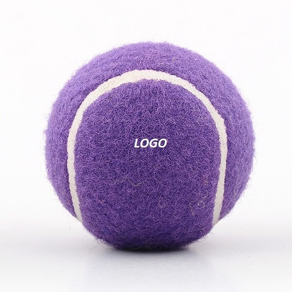 OEM Custom Purple Color Plain Tennis Ball Practice Training Batting Soft Good Quality Rubber Custom Training Tennis Balls