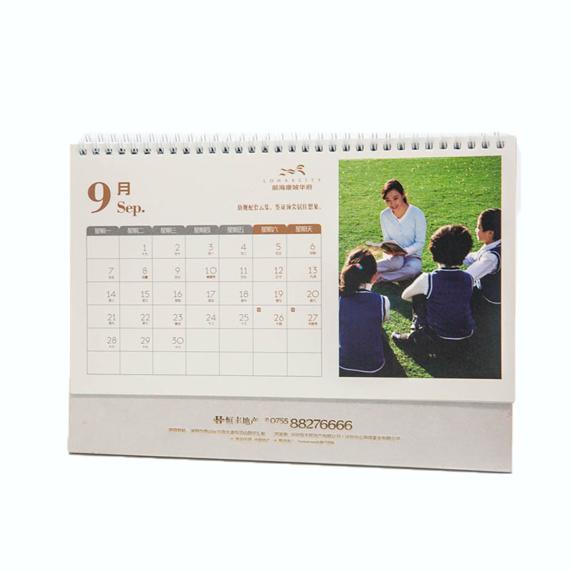 Custom Printing 365 Day 2024 Desk Calendar Standing Flip  Twin Wire Binding Good calendar printing daily table calendar