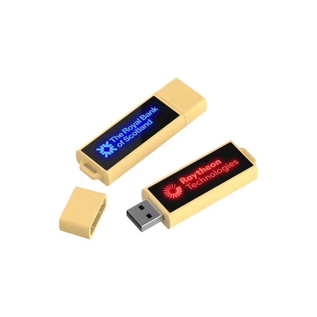 Degradable custom usb key drive recyclable materials 2.0 3.0 usb flash drive Personalized LED usb flash memory