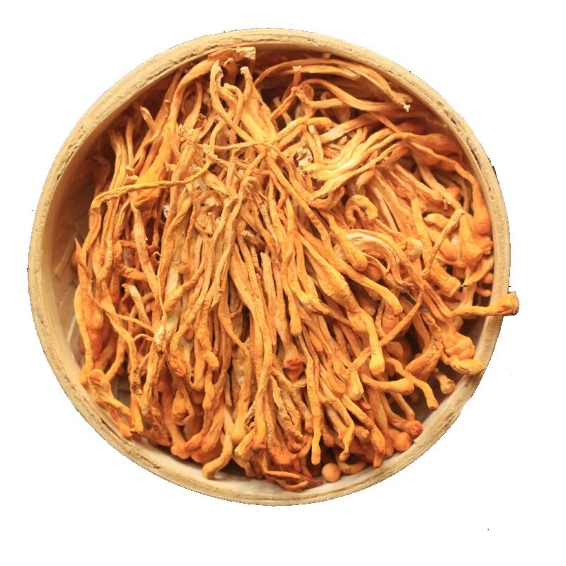 Wholesale 3A Mycological Herbal Fungi Natural Yellow Cordyceps Militaris Flower Pure Mushroom Food Grade Raw Material