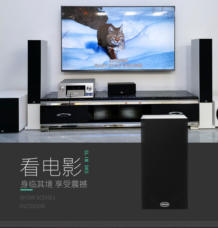 DEKEN SLIM DK 5 High Power HiFi Audio Speaker Music Equipment Active Blue tooth Bookshelf Surround Home Theater Speaker