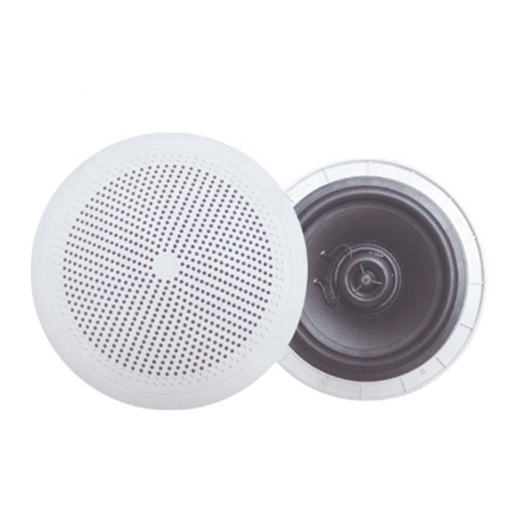 Thinuna OEM/ODM Outdoor Speakers Audio IP44 Detachable ABS Marine Loudspeaker Waterproof Marine Ceiling Speaker for Boat Yacht