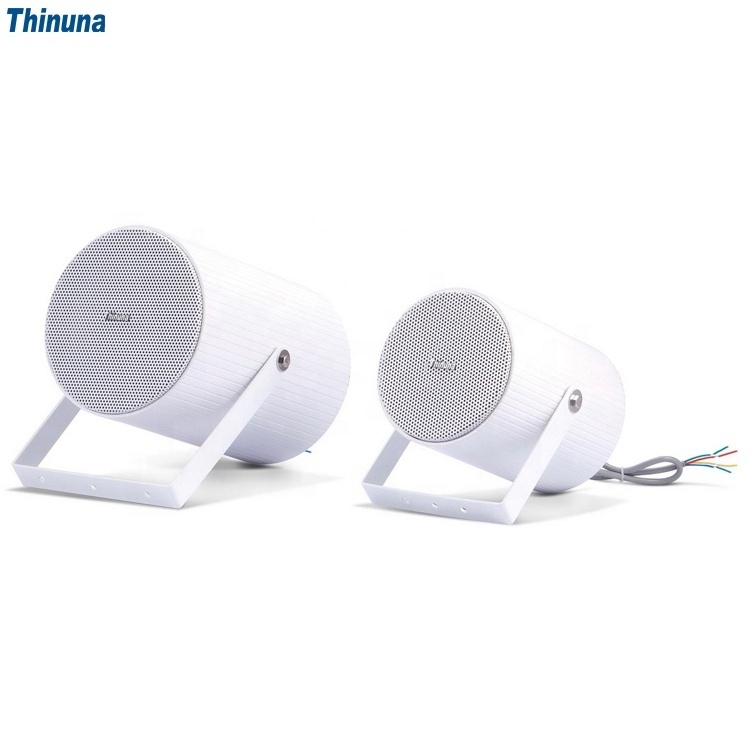 Thinuna HW-10B 20B Dual Directional IP55 Outdoor Waterproof Projection Speaker Pa System Horn Speaker For Mosque And Church