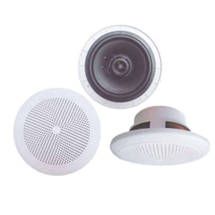 Thinuna OEM/ODM Outdoor Speakers Audio IP44 Detachable ABS Marine Loudspeaker Waterproof Marine Ceiling Speaker for Boat Yacht