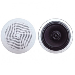 Thinuna OEM/ODM Outdoor Speakers Audio IP44 Detachable ABS Marine Loudspeaker Waterproof Marine Ceiling Speaker for Boat Yacht