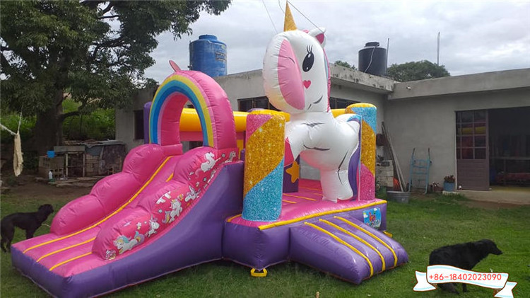 giant inflatable water slide for sale inflatable slide with pool inflatable slide pool