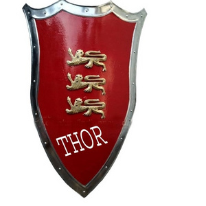 Hand Forget Medieval Designer Lion Dragon Shield Medieval Battle Armour Shield