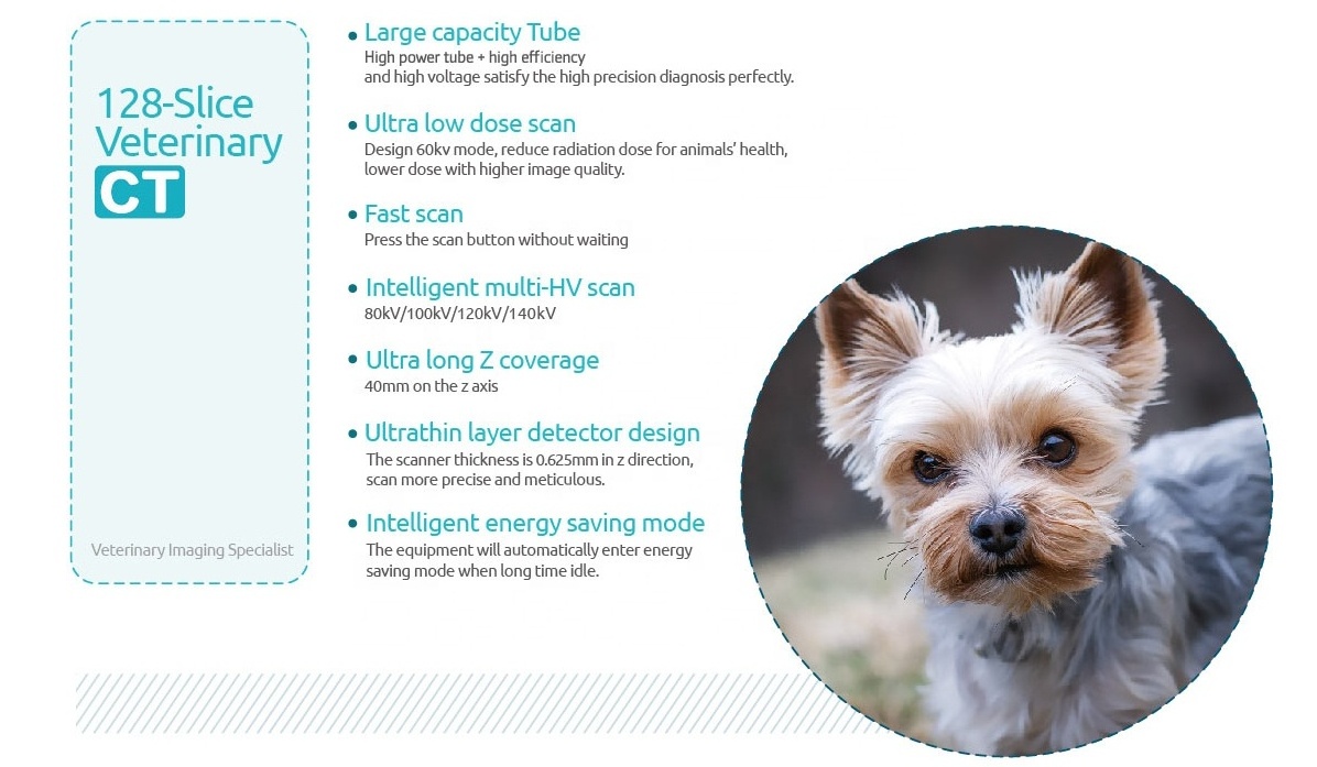 128 Slice Veterinary CT Dog Cat Vet Pet CT Scan Medical Animal Hospital CT Scanner Price