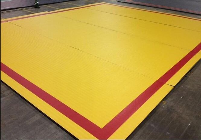 PVC Surface Tatami Judo Mats Martial Arts Wrestling Roll Mats for Gym