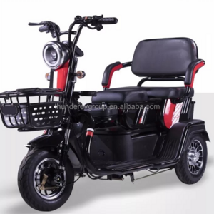 China EEC  Passenger Scooters 3 wheel Car Electric Tricycle for Elderly and Disabled People