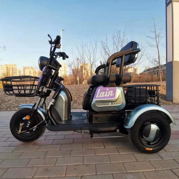 China EEC  Passenger Scooters 3 wheel Car Electric Tricycle for Elderly and Disabled People