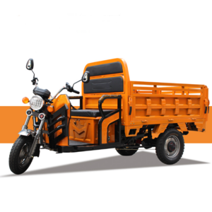 Electric Vehicle Factory 60V1000W Motor High Power Electric Cargo Tuk Tuk Tricycle