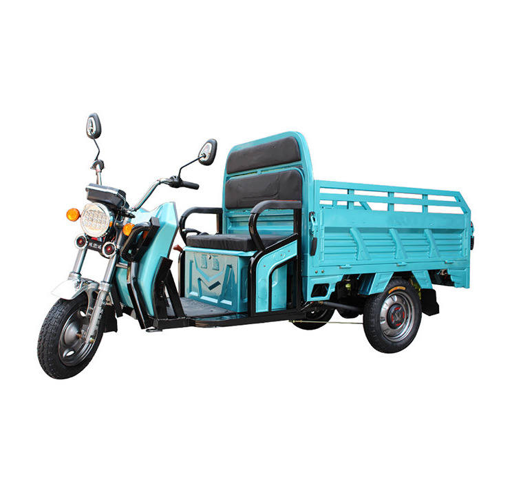 Triciclo Electrico De Carga  60V1000W 800W   Brushless Motor 500KG Loading Three Wheel  Tricycle for Adult