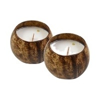 Coconut Shell Gift Set Scented Candle High-end Wooden Wick Candle For Healthy