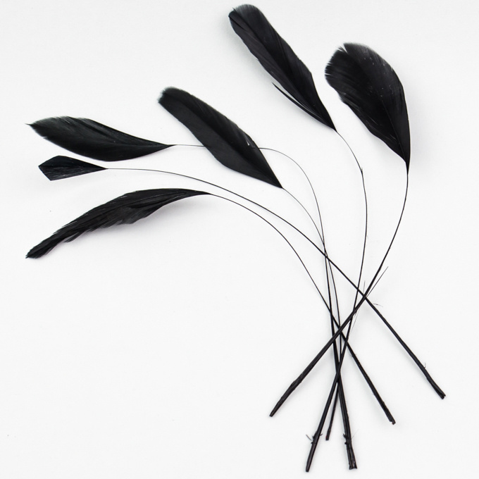 13-20cm Wholesale Selected Dyed Black Stripped Coque Chicken Rooster Tail Feathers For Crafts