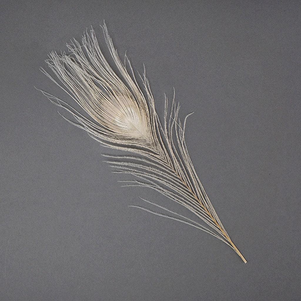 Wholesale Ivory Peacock Feather Tail Eyes Natural Bleached Dyed Peacock feathers for Floral Earrings craft Home Party Decoration