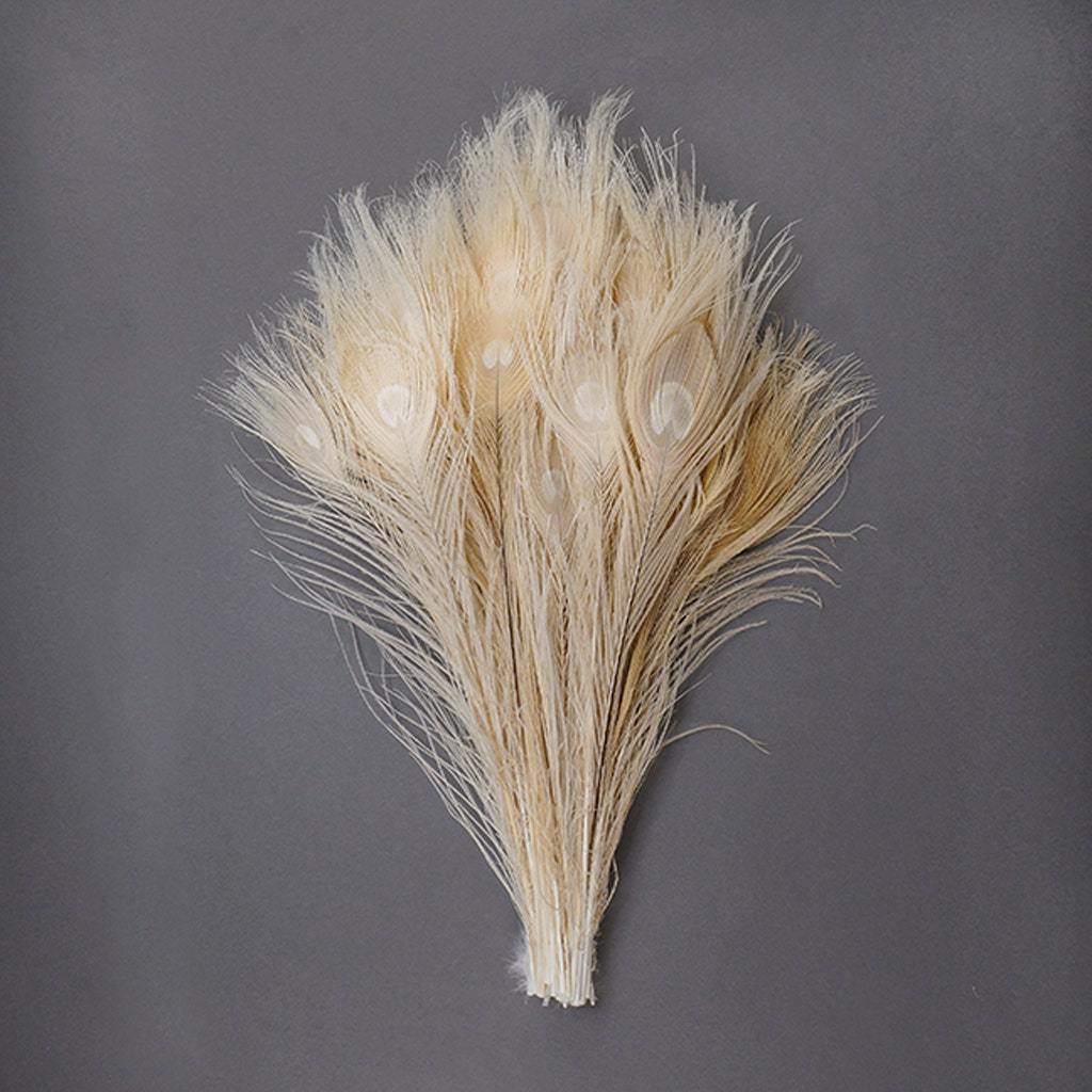 Wholesale Ivory Peacock Feather Tail Eyes Natural Bleached Dyed Peacock feathers for Floral Earrings craft Home Party Decoration