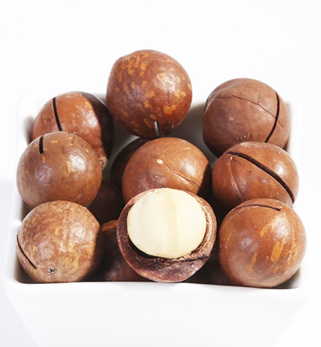 Wholesale Organic Raw Macadamia Nuts in Multiple Flavors Dried and Bulk Including Magnolia and Raw Fruit Flavors