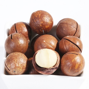 Wholesale Organic Raw Macadamia Nuts in Multiple Flavors Dried and Bulk Including Magnolia and Raw Fruit Flavors