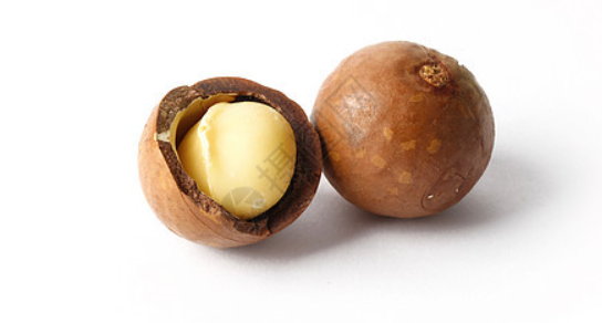 Wholesale Organic Raw Macadamia Nuts in Multiple Flavors Dried and Bulk Including Magnolia and Raw Fruit Flavors