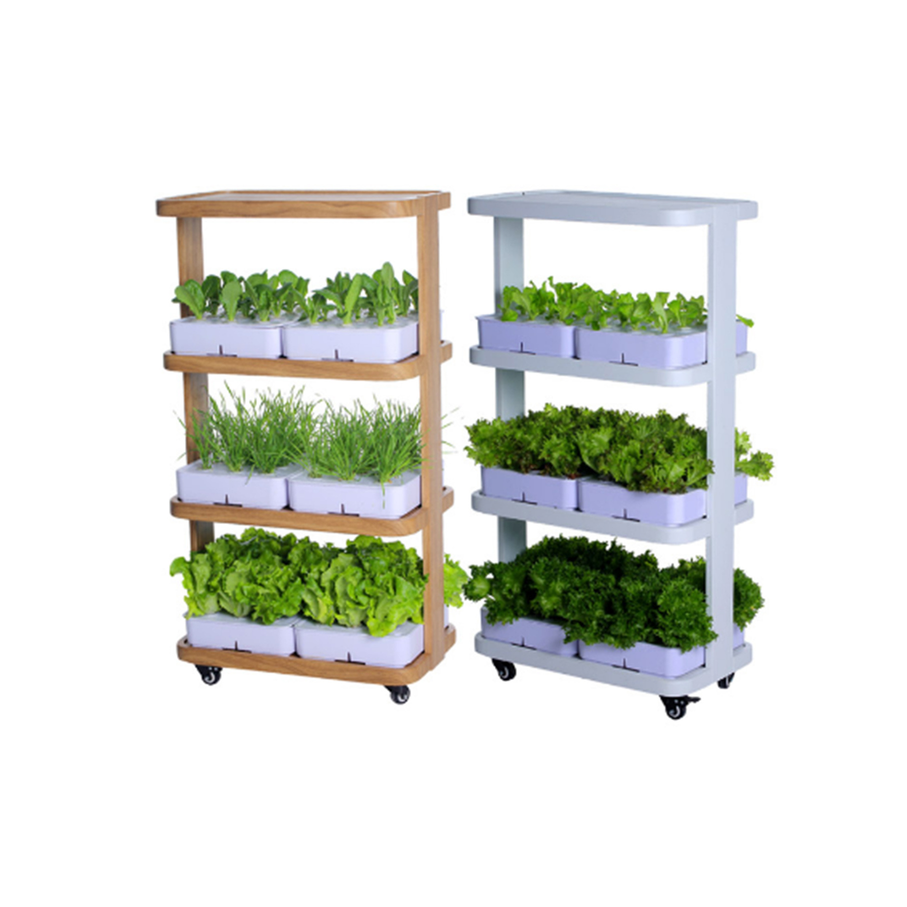 Intelligent hydroponic control system microgreens lettuce seeds vertical farming hydroponic commercial system