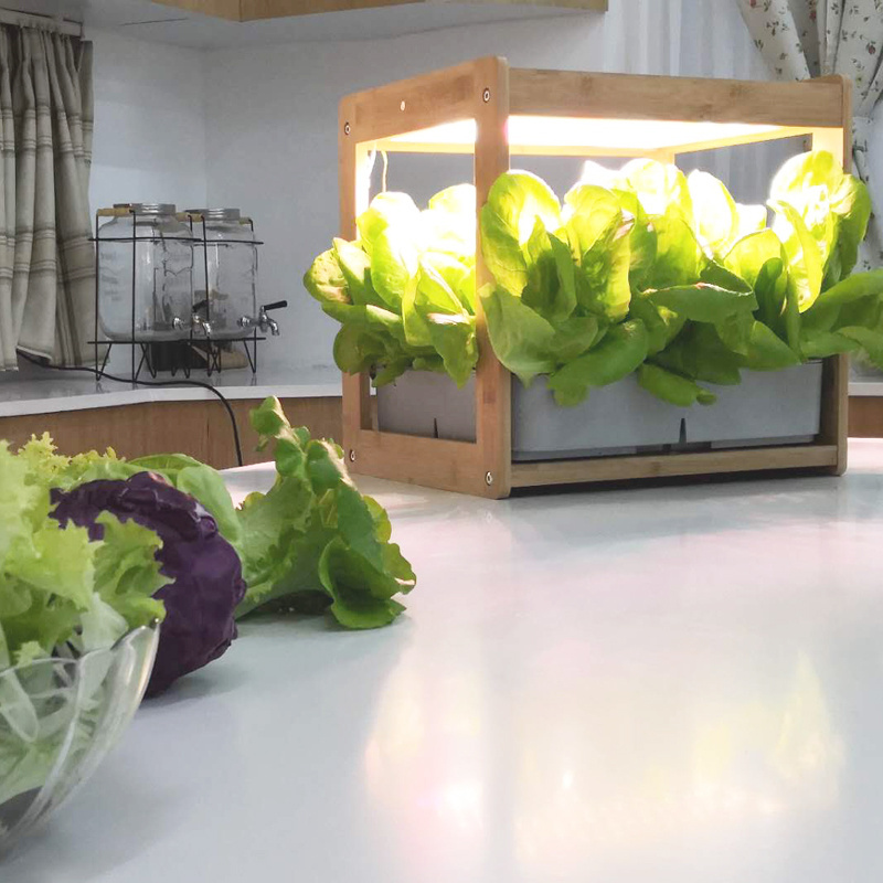 24W Home Indoor Greenhouse Table System Led Grow Light Smart Mini Portable Hydroponic Garden