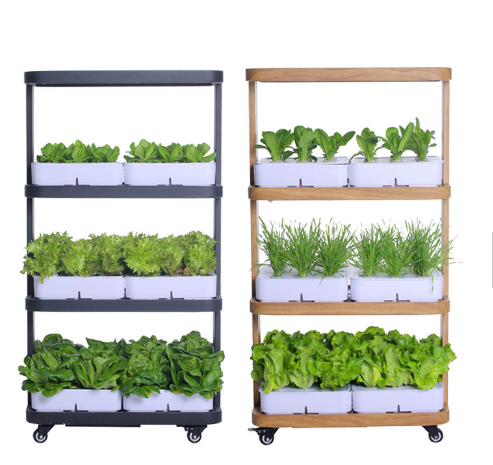 Intelligent hydroponic control system microgreens lettuce seeds vertical farming hydroponic commercial system