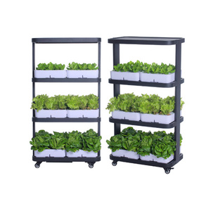 Intelligent hydroponic control system microgreens lettuce seeds vertical farming hydroponic commercial system