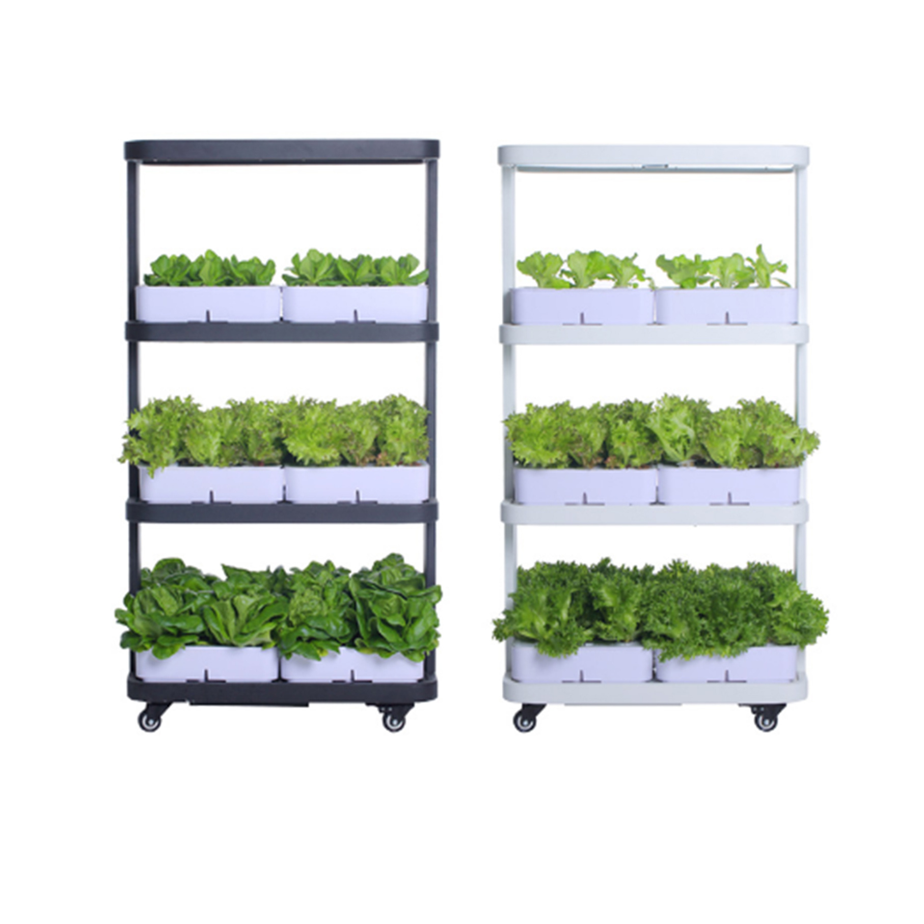 Intelligent hydroponic control system microgreens lettuce seeds vertical farming hydroponic commercial system