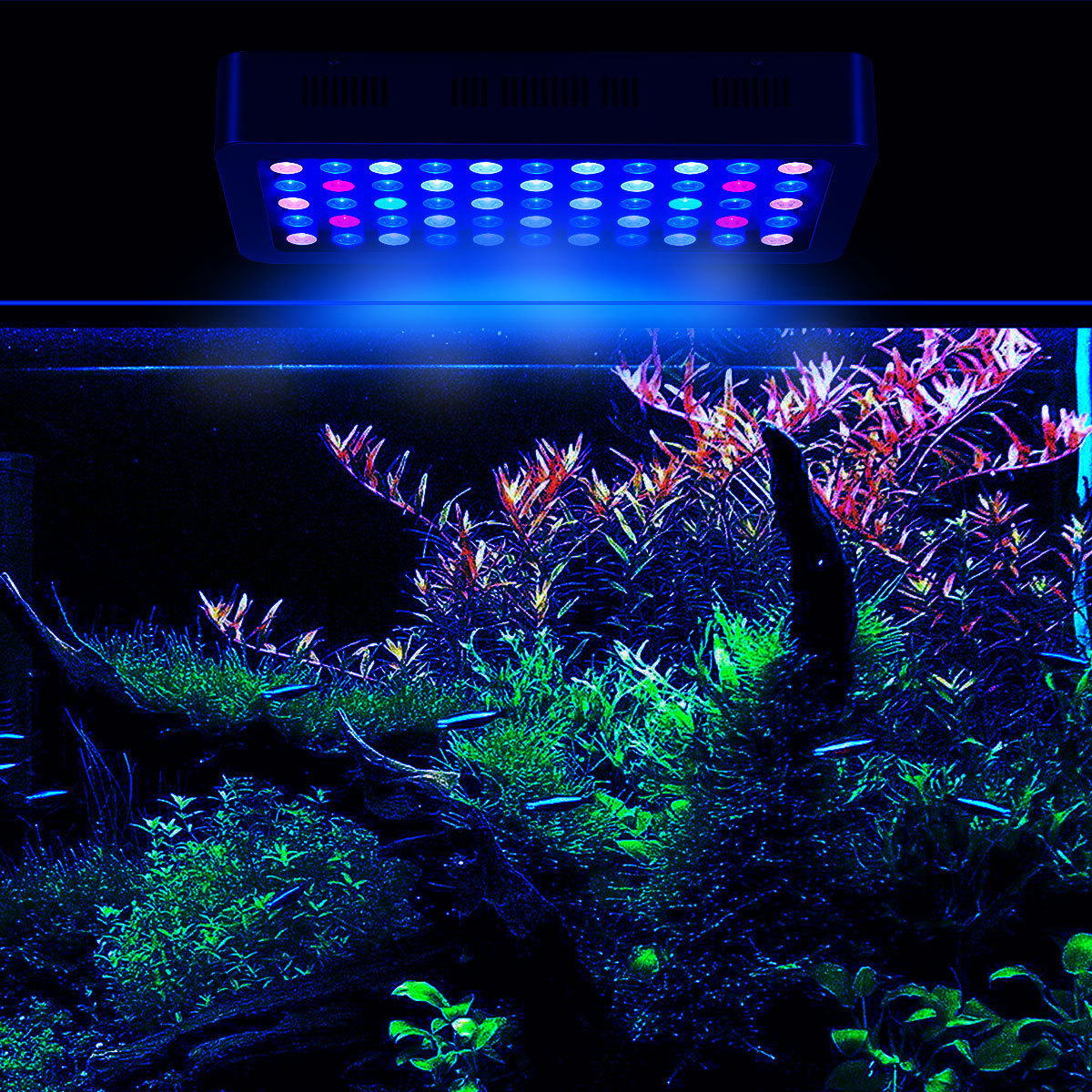 2020 Wholesale  Intelligent Marine aquarium led lighting 165w programmable aquarium light for 24