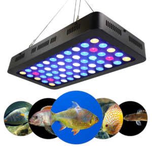 Chinese Rohs aluminium housing saltwater marine sunrise fish tank coral reef full spectrum led aquarium light 165w wifi control