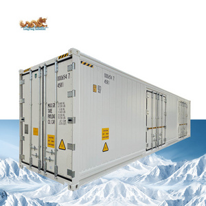 40ft 2 Side Door Opening Thermo King Refrigerator Freezer Cold Storage Room Reefer Container 40 feet price for Sale