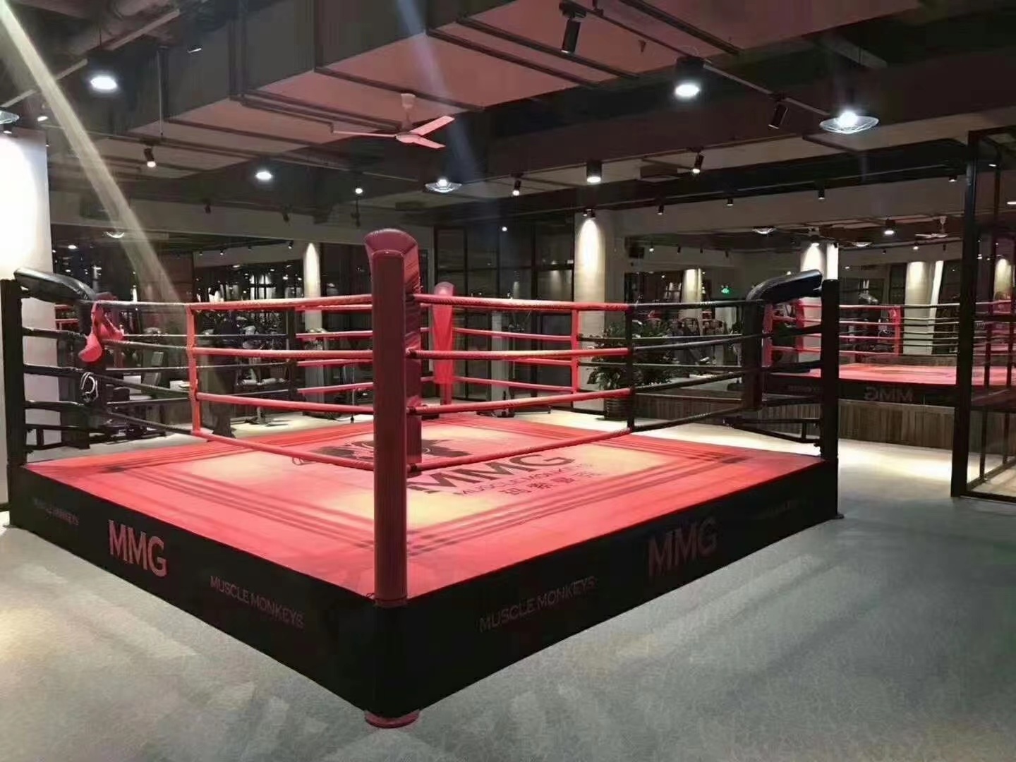 New style professional portable boxing championship floor rings or wrestling fighting folding boxing ring